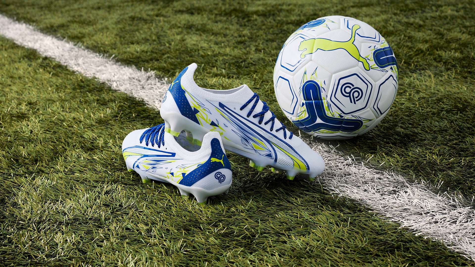 这份忠诚精 这份忠诚精